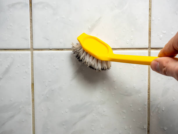 Water Damage Restoration in Ortonville, MN