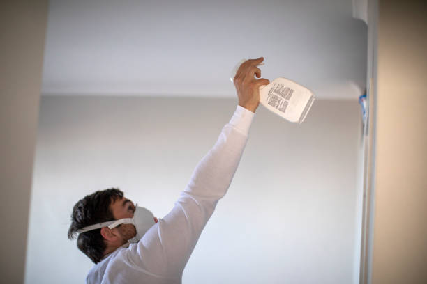 Best Local Mold Removal Service  in Ortonville, MN