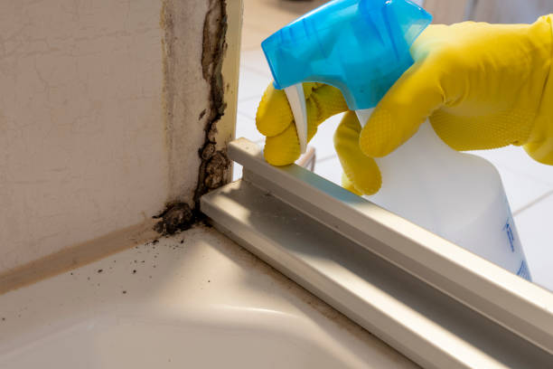 Crawl Space Mold Removal in Ortonville, MN