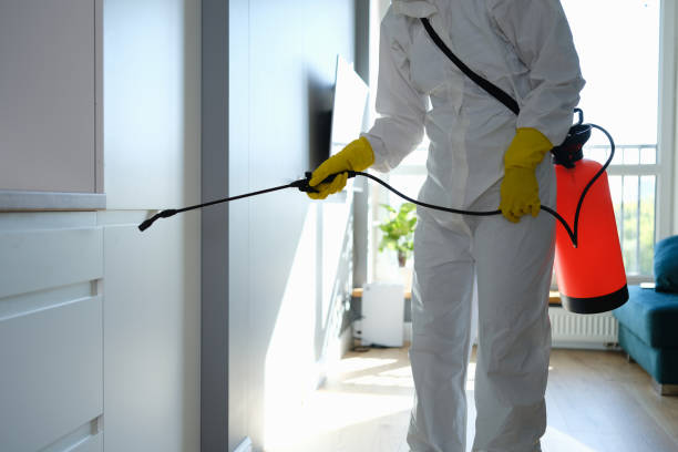 Best Mold Removal Specialists  in Ortonville, MN